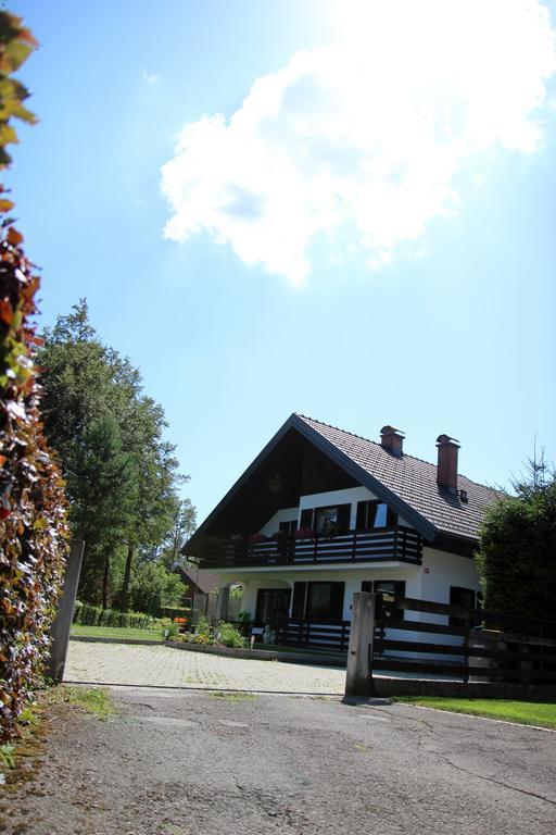 Lake House Apartment Medvode Exterior foto